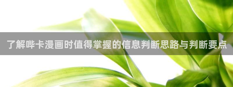 羞羞漫画人气漫画推荐：了解哔卡漫画时值得掌握的信息判断思路与判断要点